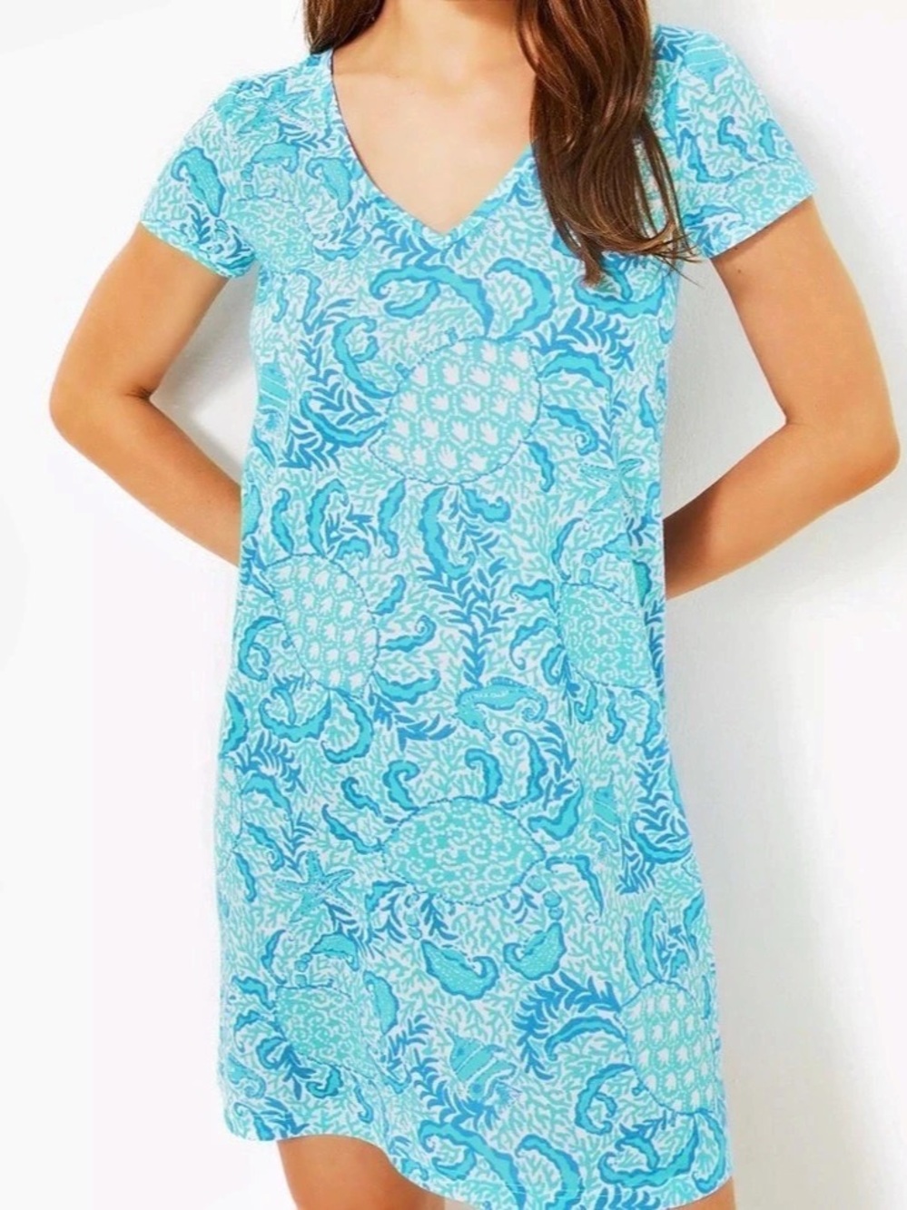 Lilly Pulitzer Etta Short Sleeve Dress Mini Dress Blue & White Size Large NWT